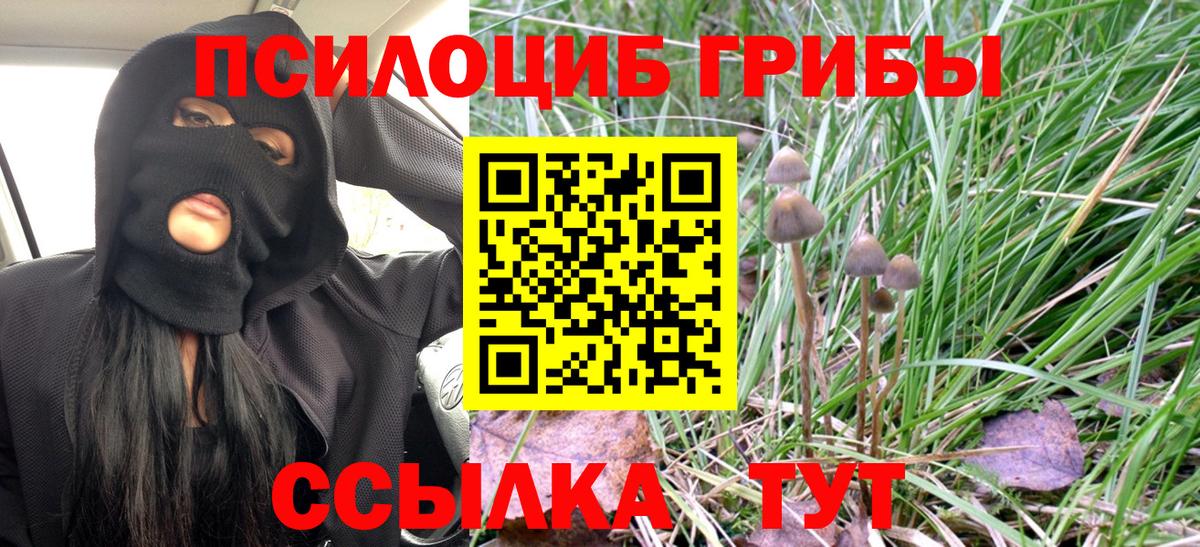 Новороссийск  Псилоцибиновые грибы ЛСД  наркота  Вход с VPN 