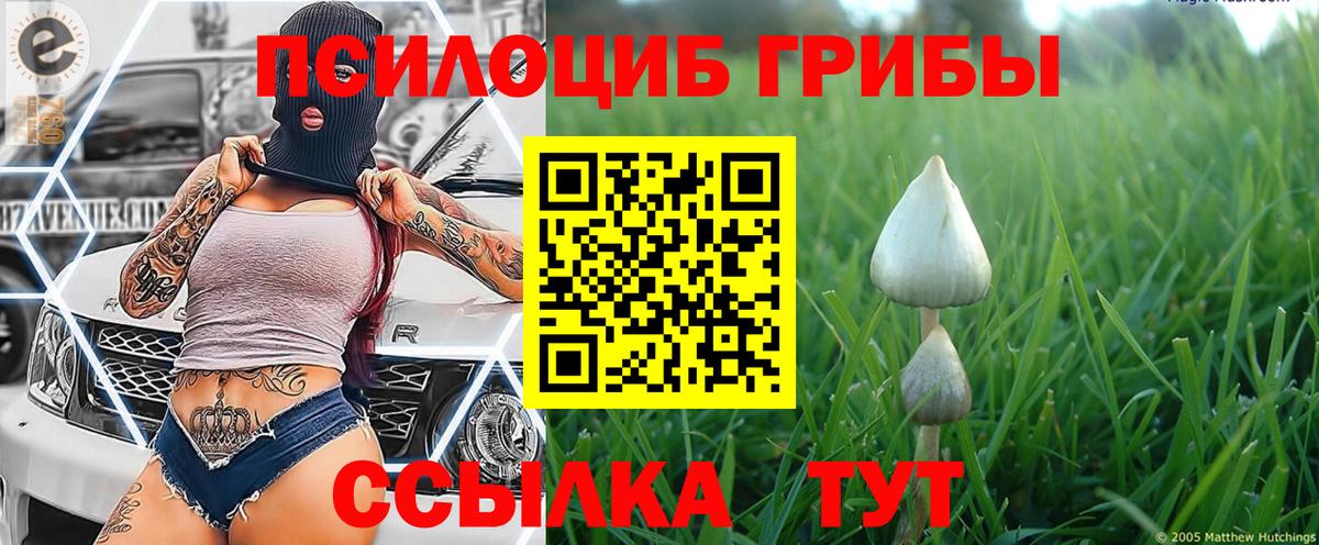 Псилоцибиновые грибы мухоморы Новороссийск
